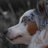 Profile picture of @mimi-junior