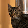 Profile picture of @foldmaster
