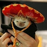 Profile picture of @bailey-lafsky