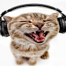 Profile photo of Syntax!