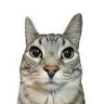 Profile picture of Bimbas