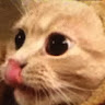 Profile picture of @kindarandom