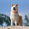 Profile photo of One
