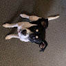 Profile photo of Ltrrrr