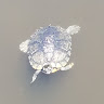 Profile picture of @owen-weyl