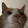 Profile picture of @kay-kaykay