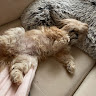 Profile photo of Murph_