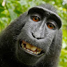 Profile picture of jr
