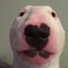 Profile picture of kidux