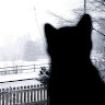 Profile picture of @edi-mipan