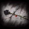 Profile picture of kotuistrash