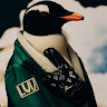 Profile picture of @mark-solodilov