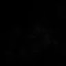 Profile picture of @lookerfinder