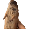 Profile picture of @oswaldo-maldonado