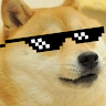 Profile picture of @xeliquid